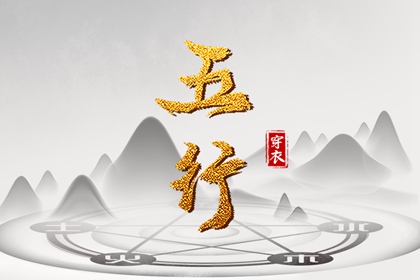 流年命盘排盘 命盘 专业细盘命盘 紫微星黄历