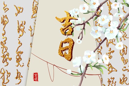 冲煞字段怎么标
